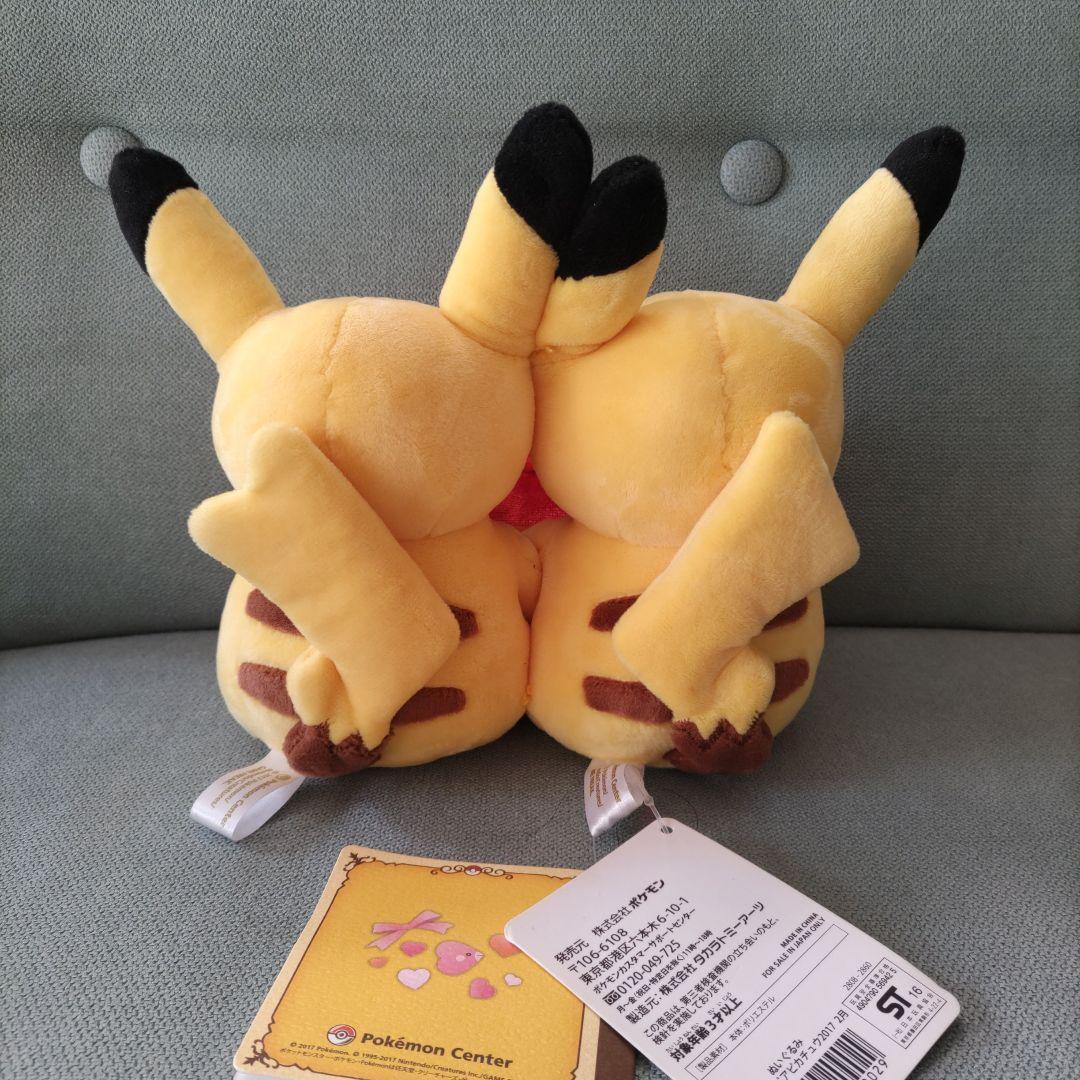 ポケモンセンター　マンスリーペアピカチュウ（２月）