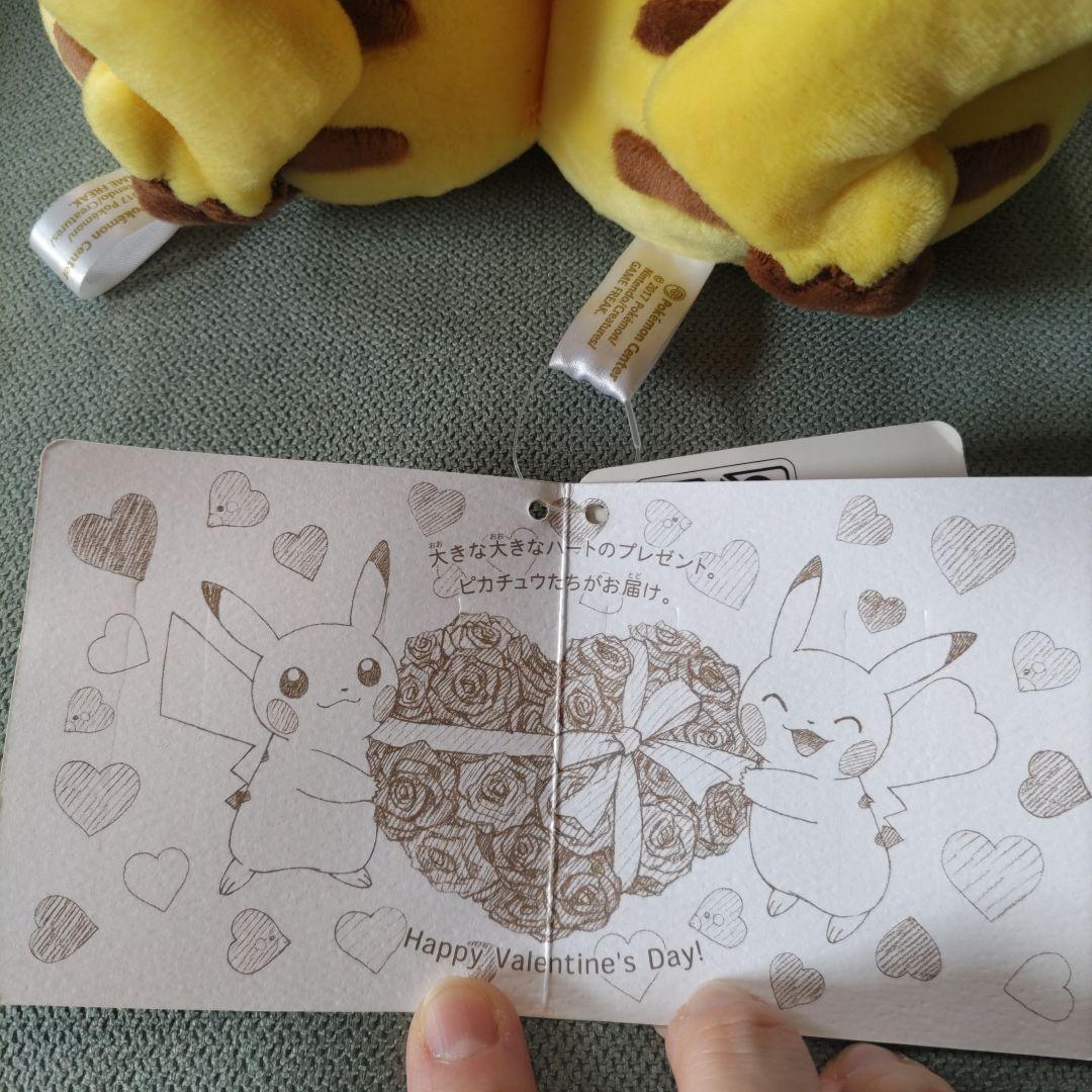 ポケモンセンター　マンスリーペアピカチュウ（２月）