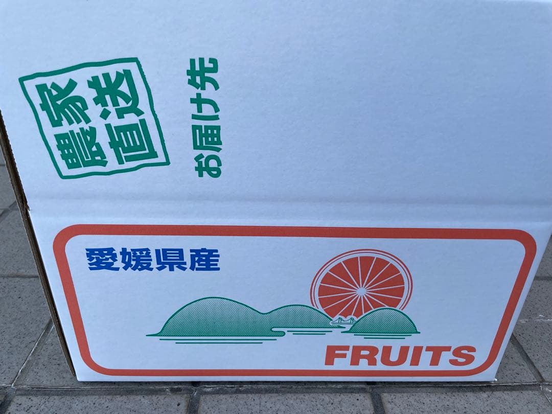 1国産ベルガモットオレンジ果実香りが強い露地栽培約:9k A品【一部分B品含む】