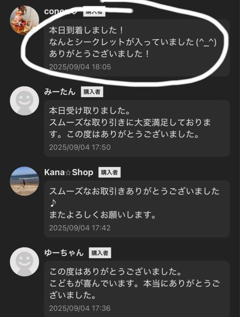 正規品・未開封Labubu Big into Energy 4箱