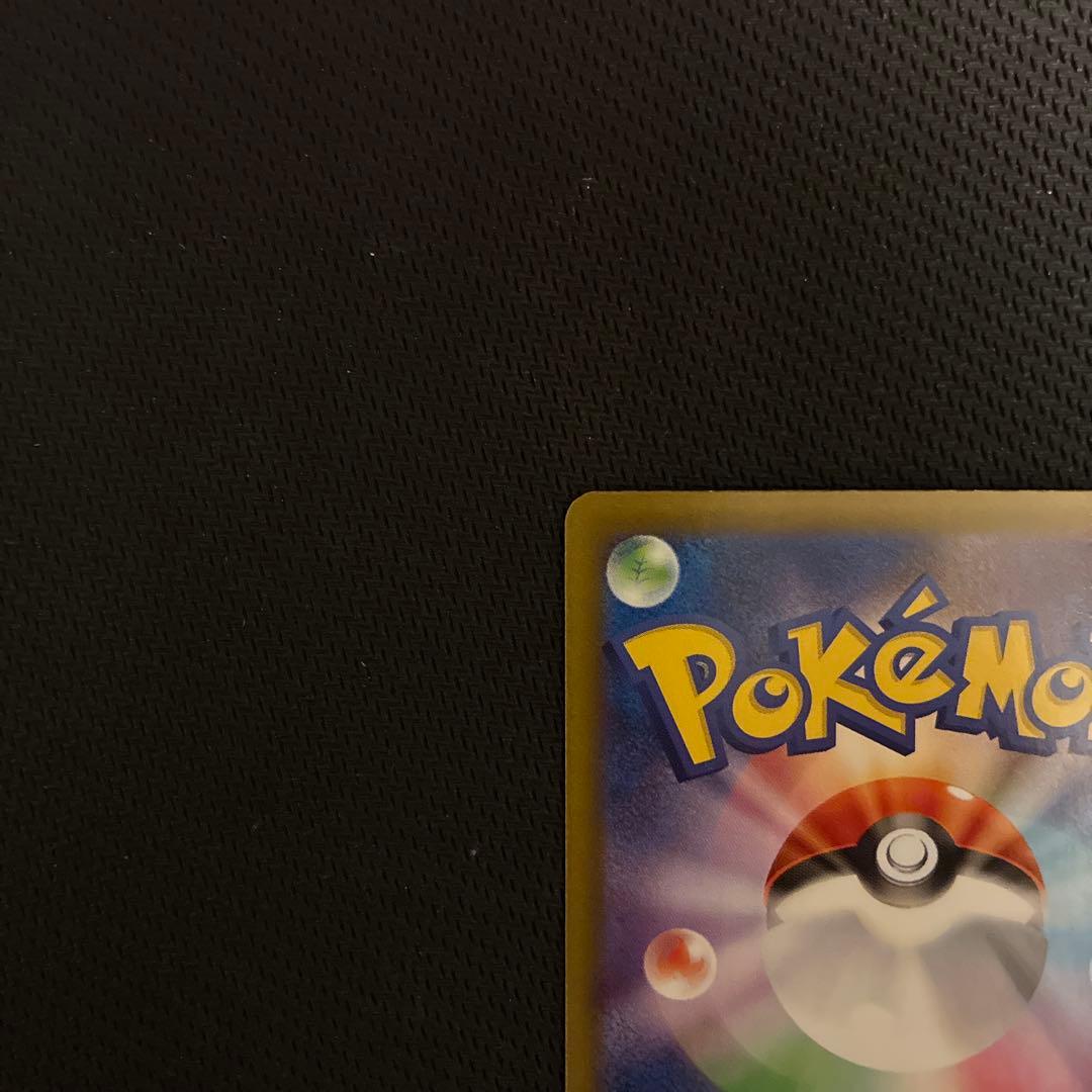 【即購入OK】ブラッキーex SAR テラスタルフェスex 217/187