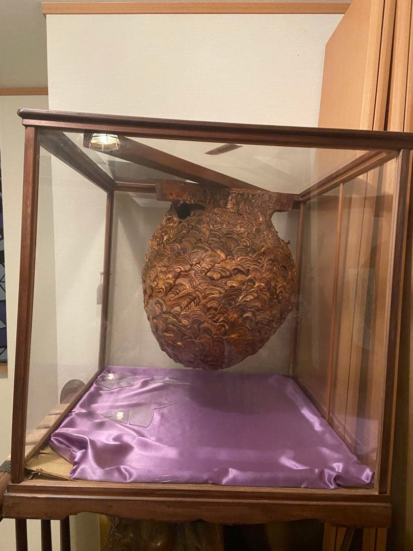 スズメバチの巣