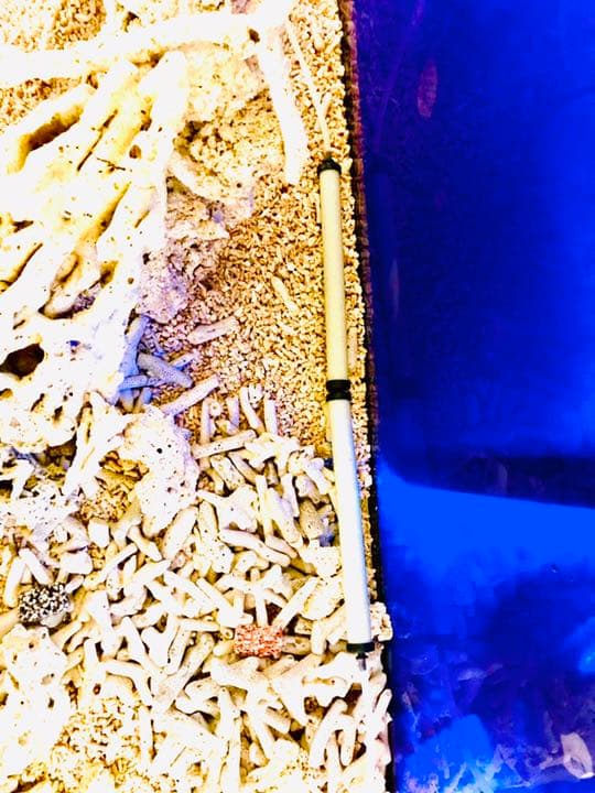 ボーナス軽大水槽Set120×45×45 コトブキ浄化槽 サンゴ 大型魚 アカメ