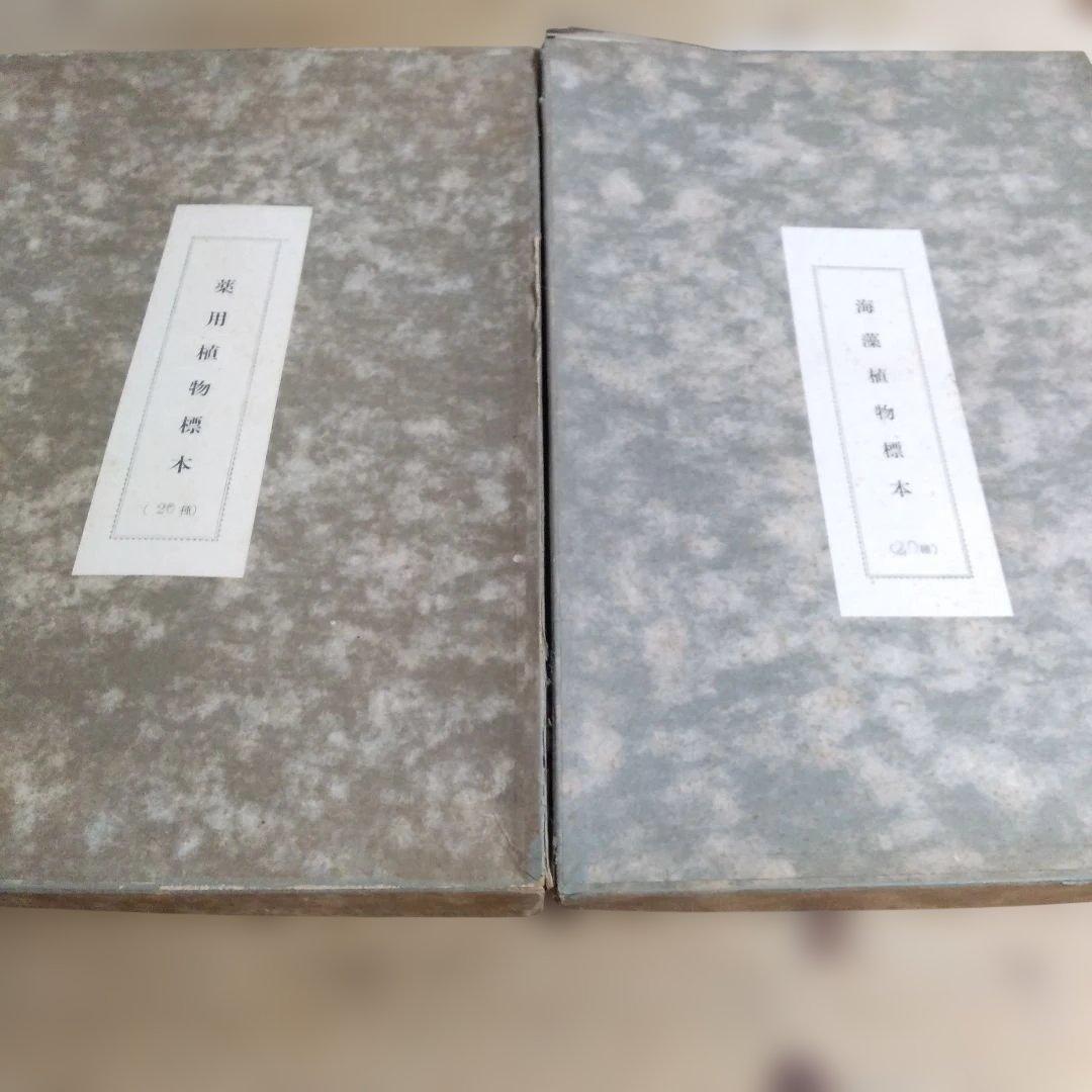 珍品　計39枚　薬用植物標本 　海藻植物標本　コレクション　アンティーク