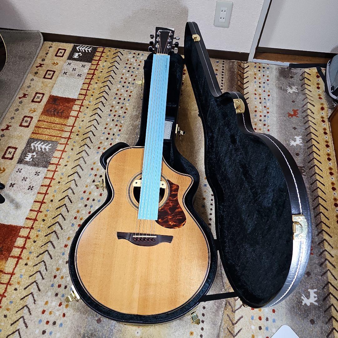 HistoryNT-C3総単板。 純正ハードケース付き最終価格