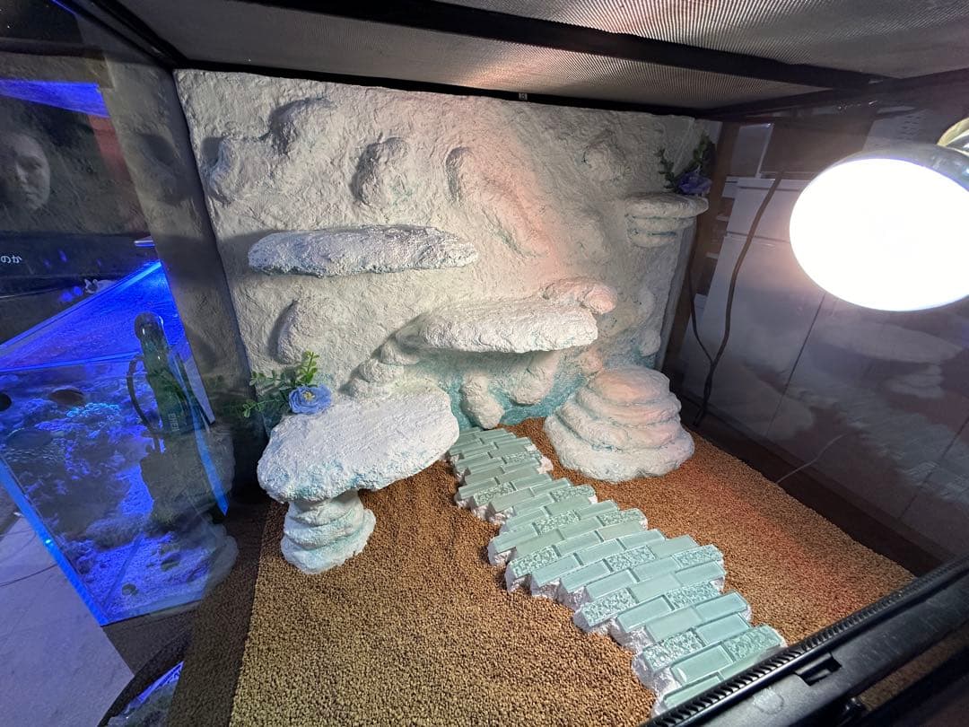 爬虫類水槽.バックボード.シェルター３セット