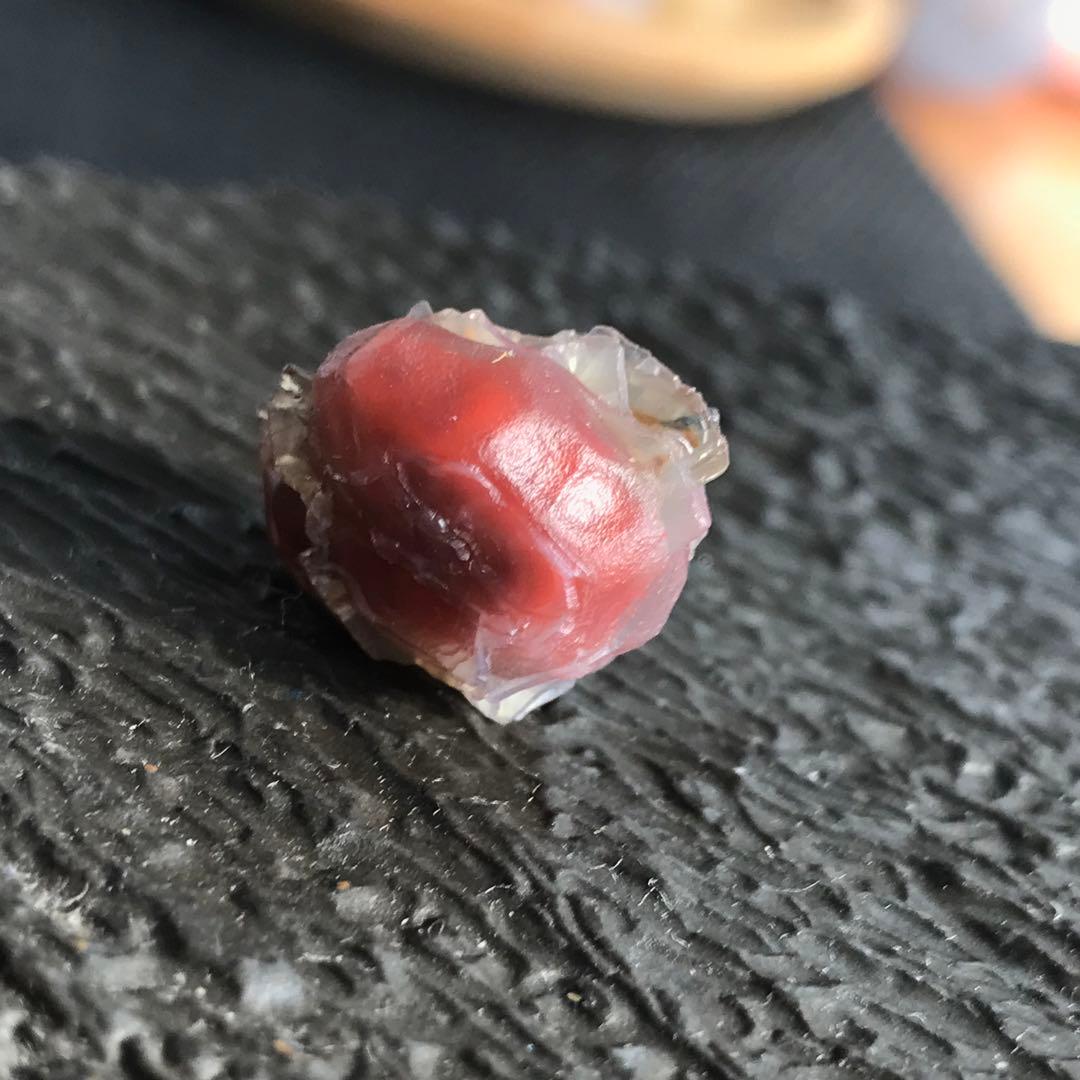 ゴビ石−1079 ゴビ瑪瑙　地表　黒山瑪瑙　『心臓』