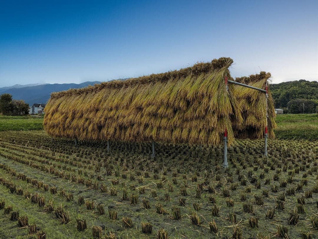 ほし　こだわりのお米20kgと米粉1.5kg