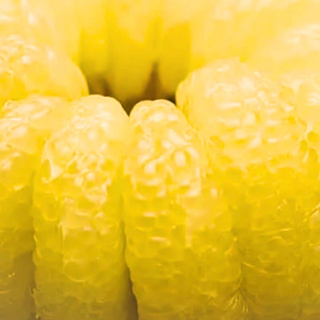 文旦　水晶文旦　みかん　好きに　　67