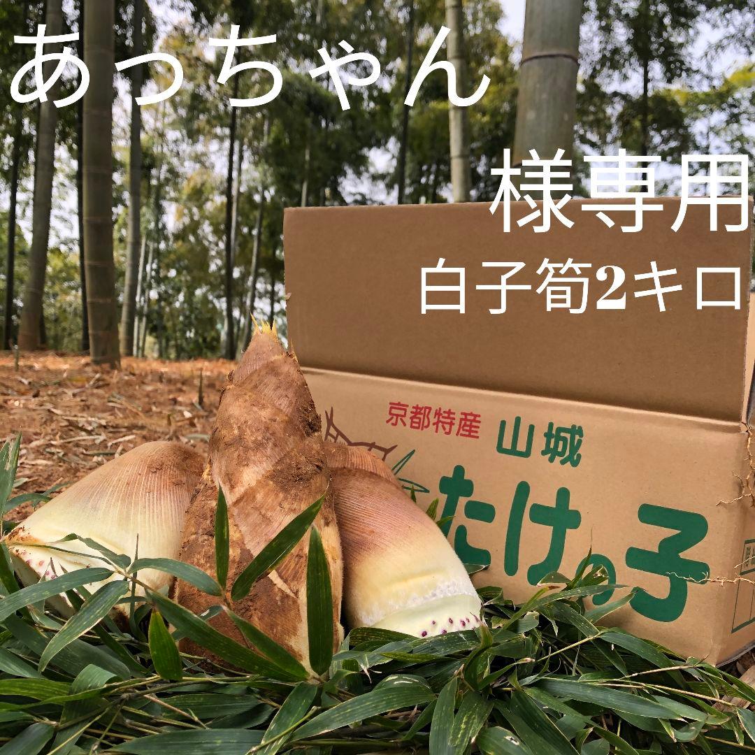 あっちゃん 白子筍2キロ箱込み