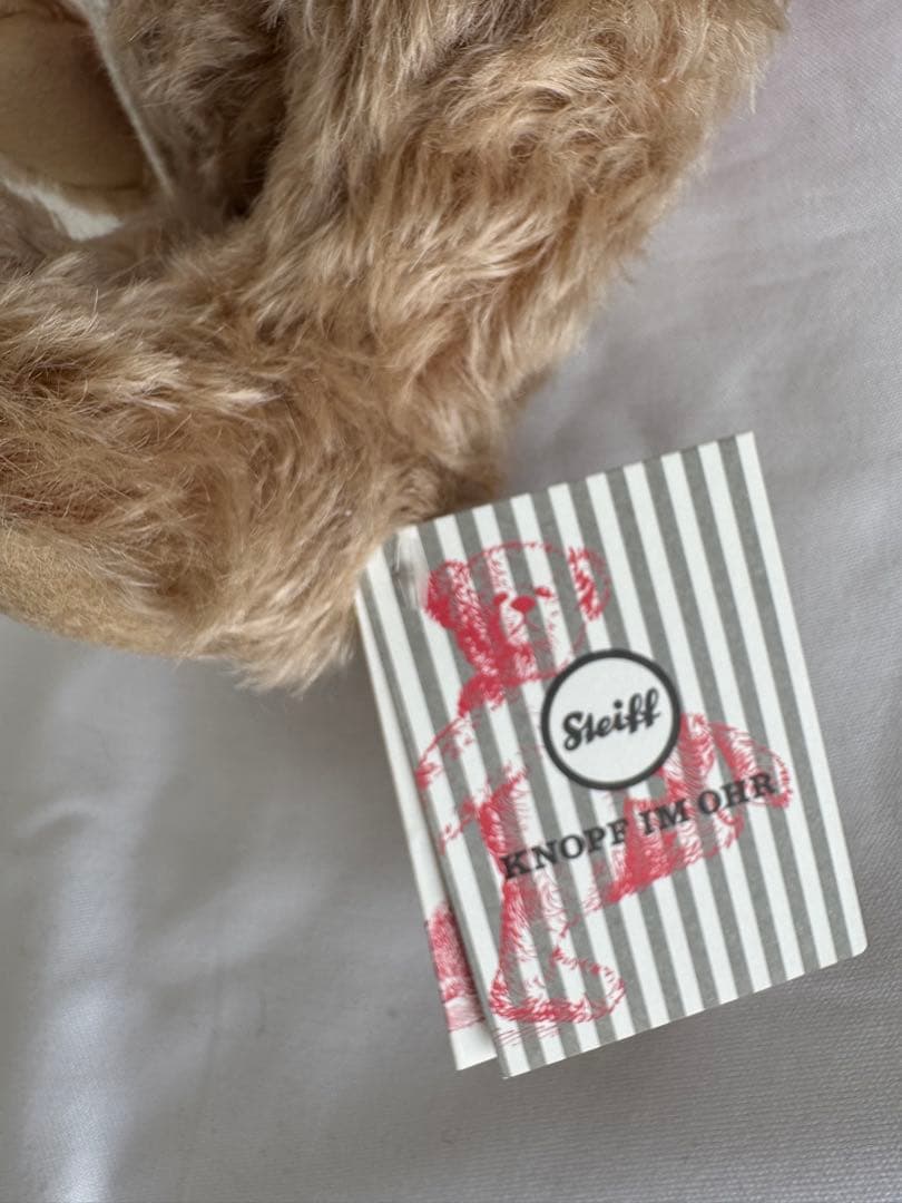 新品未使用 シュタイフ テディベア パディ タグ・箱付き