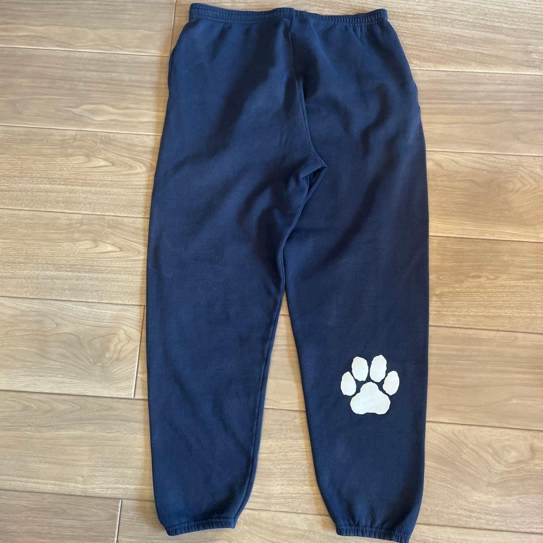 90's ヴィンテージPANTHERS RB34 立命館　アメフトスエット XL