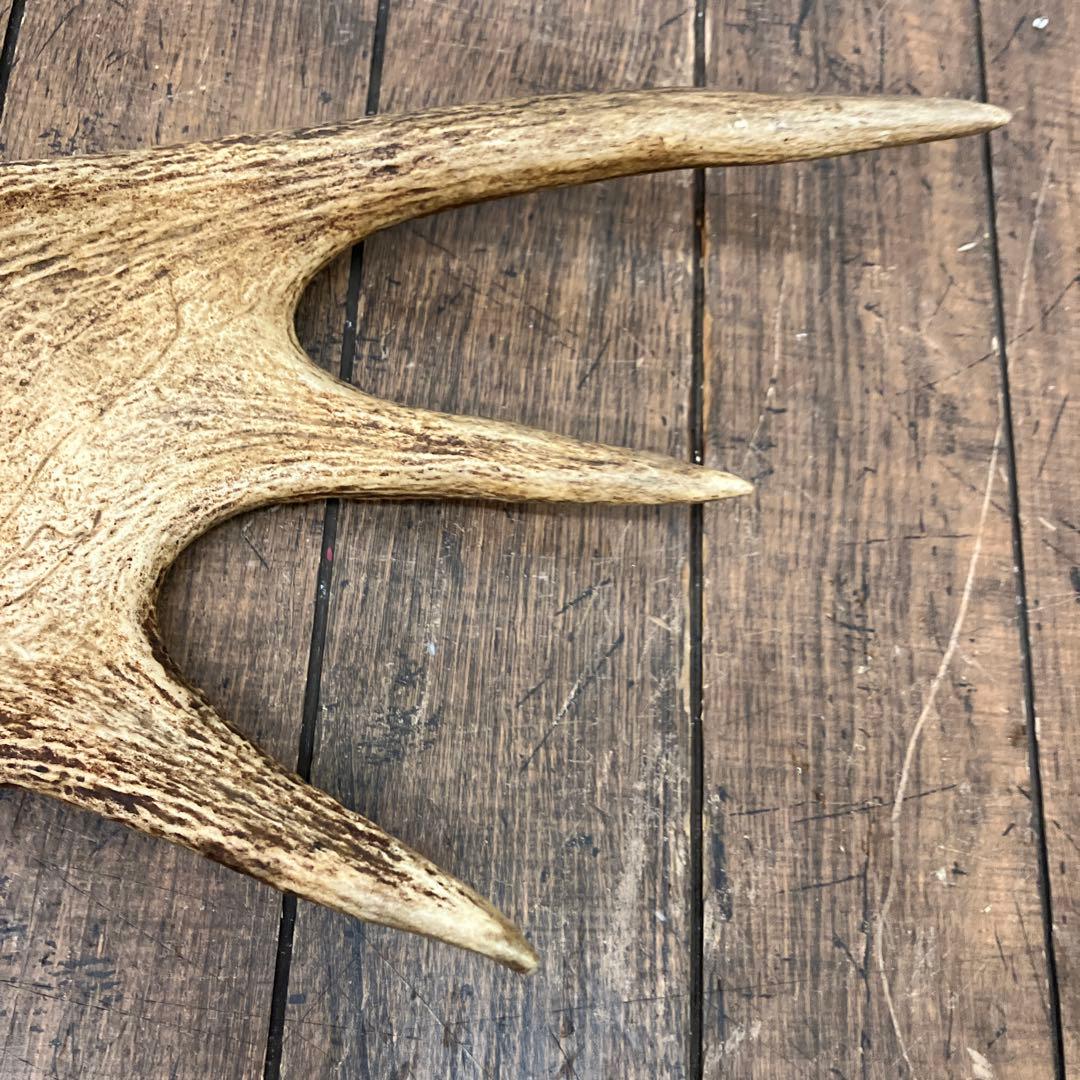 昭和レトロ ヘラジカ へら鹿 鹿の角 置物 オブジェ インテリア レトロ