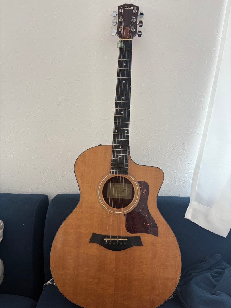 テイラー114ce 気になっていただいてありがとうございます。