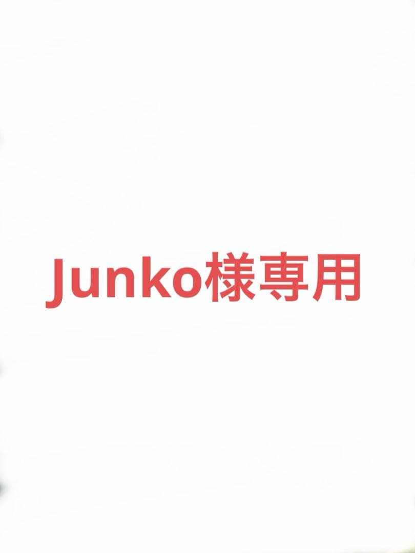 Junkoページ