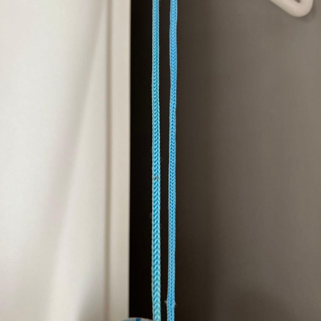 ディズニー Disney ドナルド ケース パスケース ディズニーリゾート