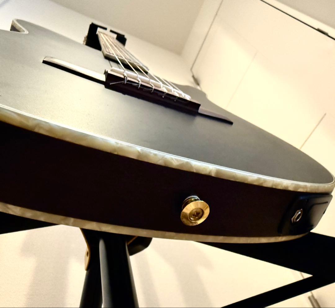 Ibanez TOD10N TKF エレガット Tim Henson