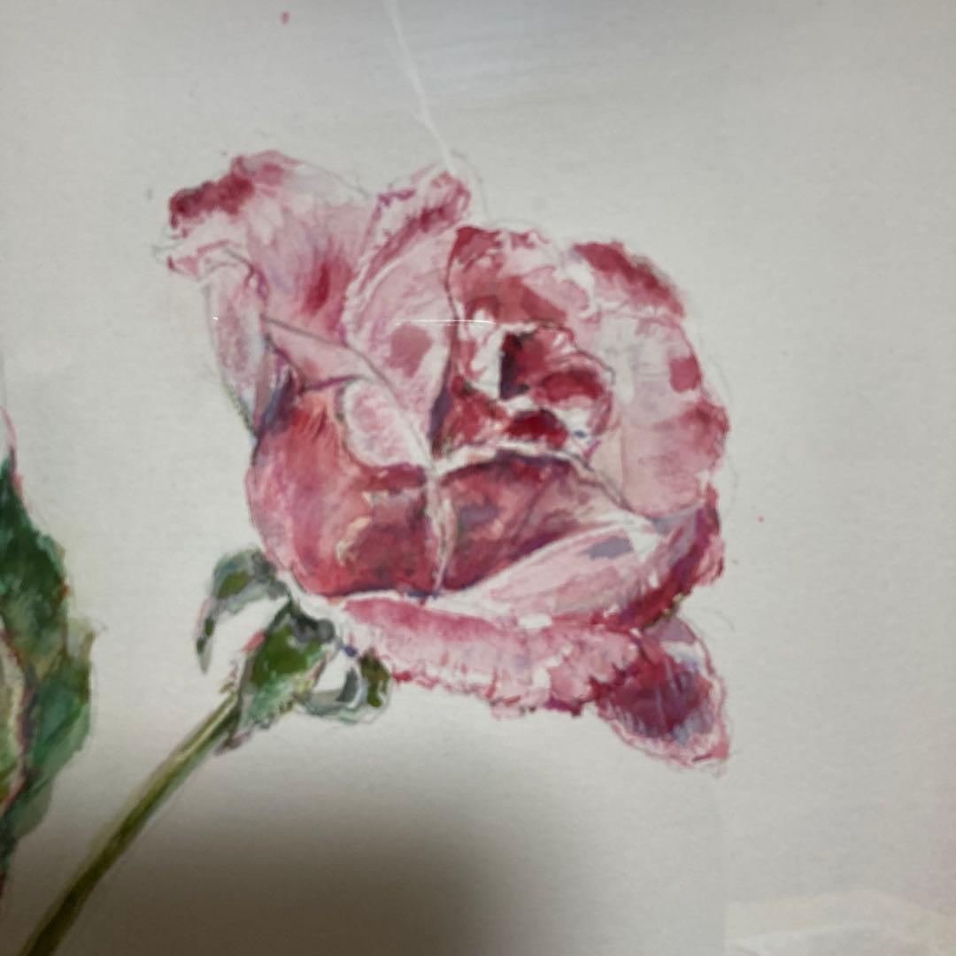 高級額　水彩画　薔薇