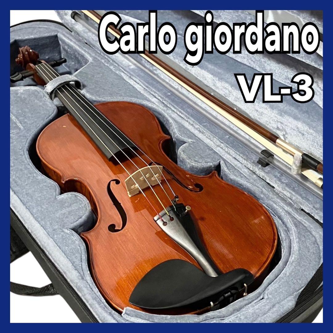 カルロジョルダーノ ビオラ VL-3 弦楽器 ケース付 ヴィオラ オーケストラ