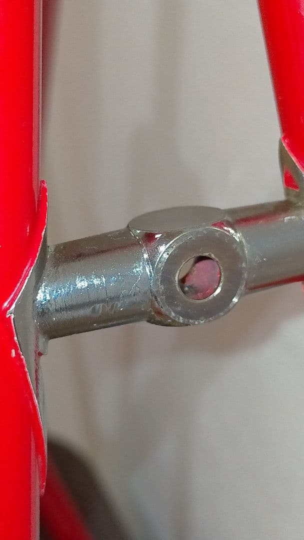 エクタープロトン フレームセット