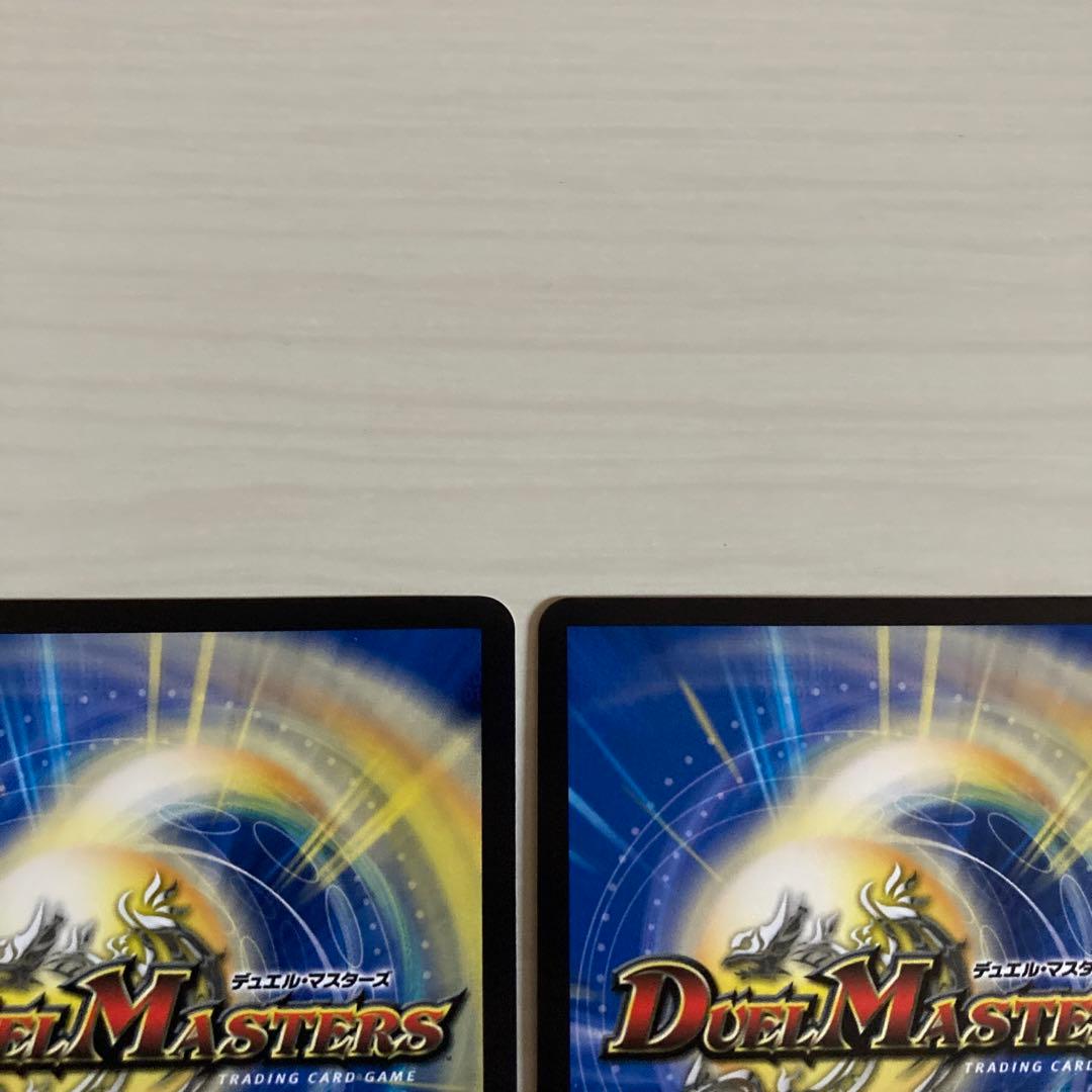 メルカリ便 聖霊超王 Hアルカディアス 秘 シク シークレット 2枚セット