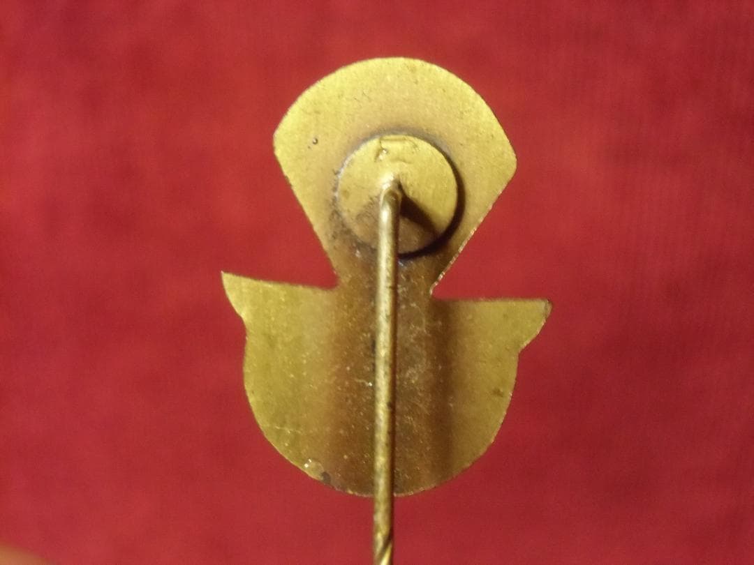 ＢＷドイツ軍/連邦軍＊シュヴァインフルト空挺スポーツクラブメンバーピン（実物）