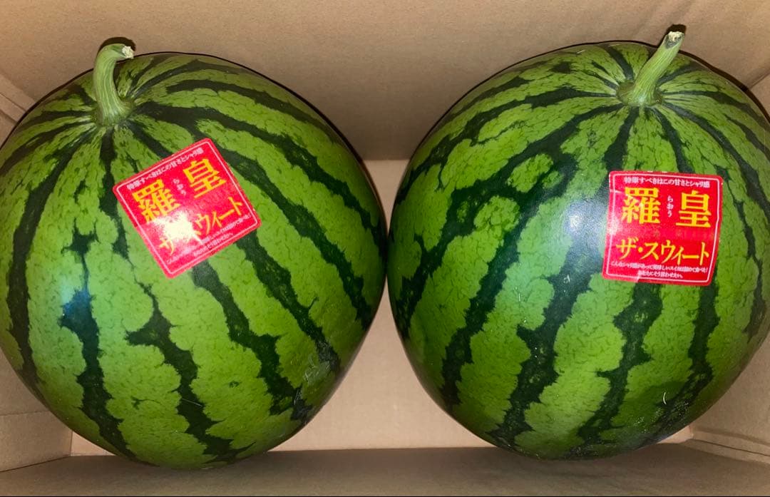 甘くて最高！熊本産秋西瓜 羅皇 2Lサイズ2玉セット(15-17k箱込)