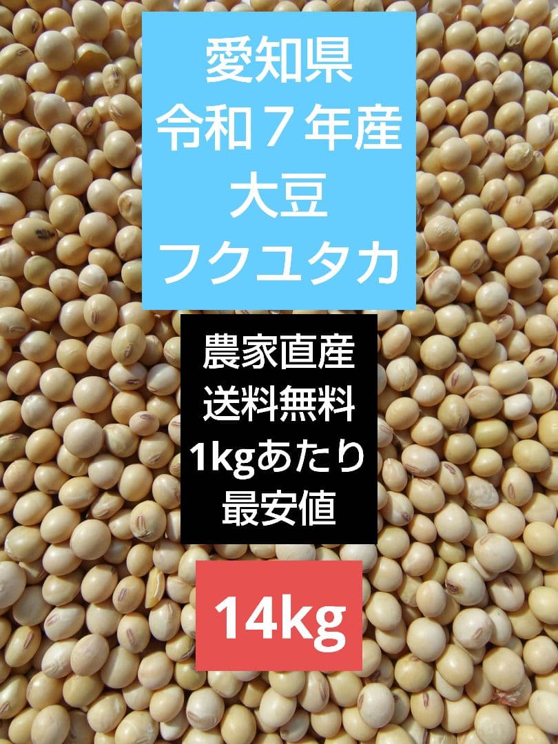令和7年産　大豆 フクユタカ 正味14kg　愛知県産