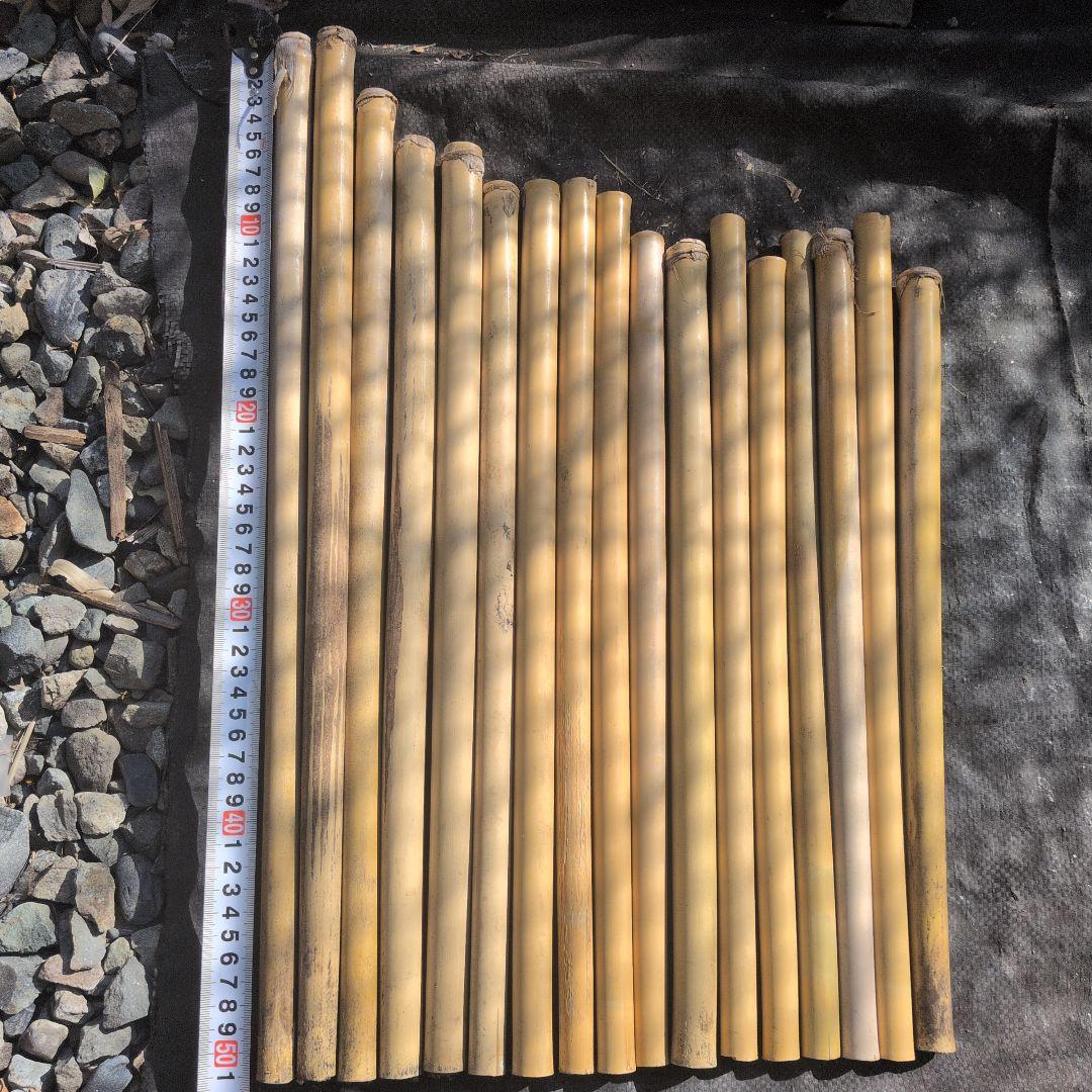 篠竹 篠笛素材１７本 自然乾燥８年 反り小