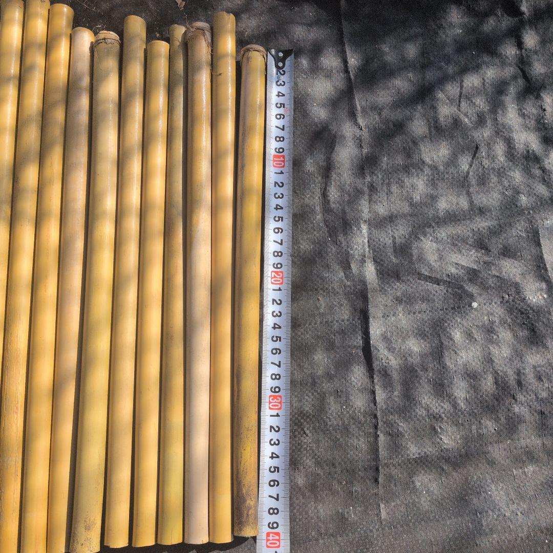 篠竹 篠笛素材１７本 自然乾燥８年 反り小