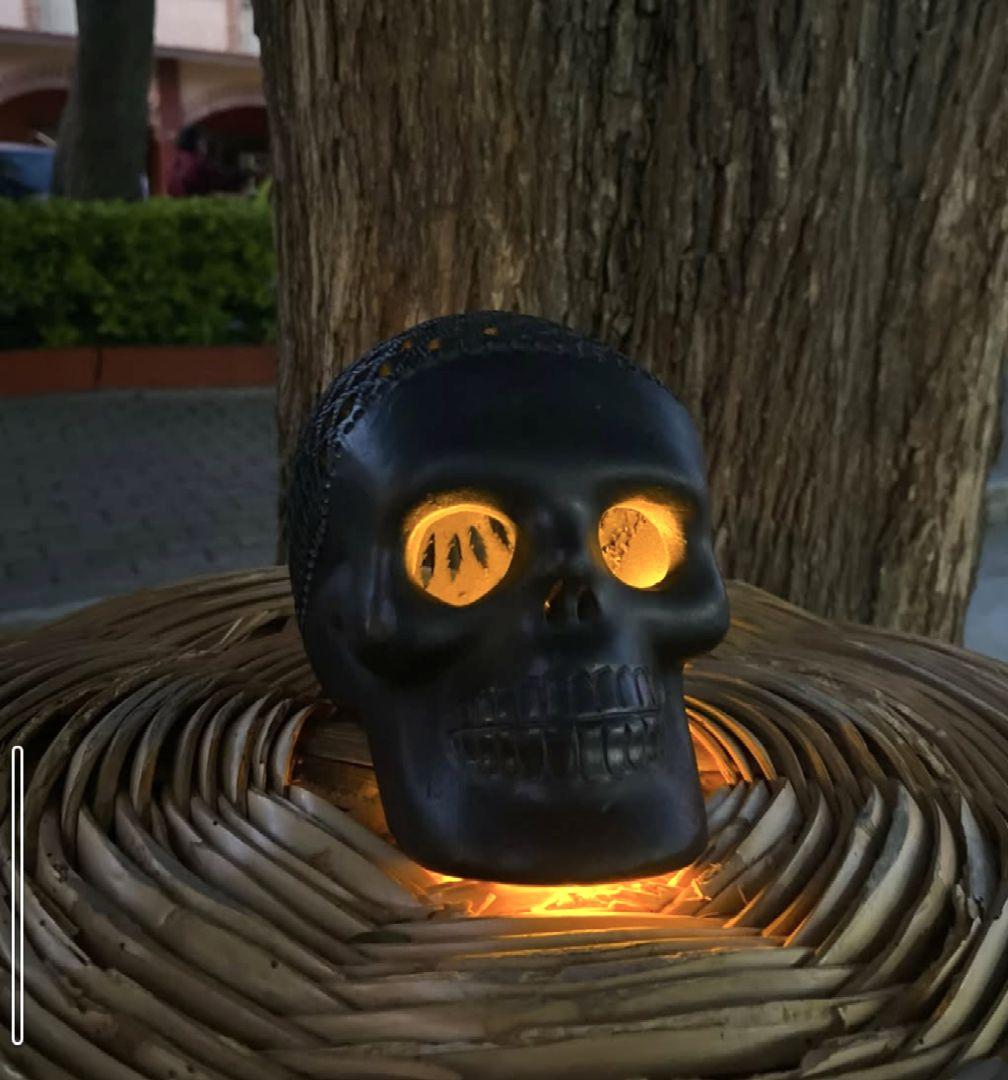 メキシコ雑貨 オアハカ製黒泥頭蓋骨 置物 希少 工芸品