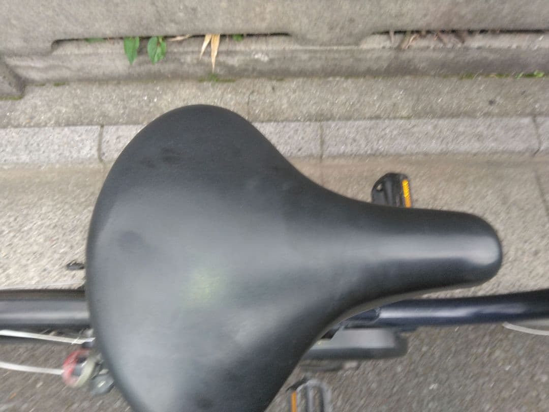 PAS CITY-C 12.3Ahバッテリー付き