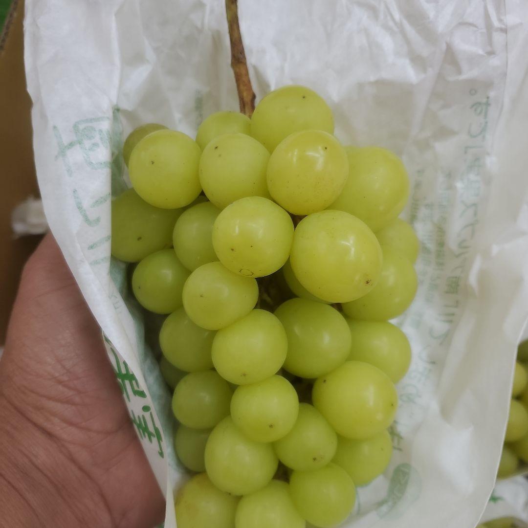 2️⃣ 山梨県産 シャインマスカット １１房入り 箱込み5.2キロ