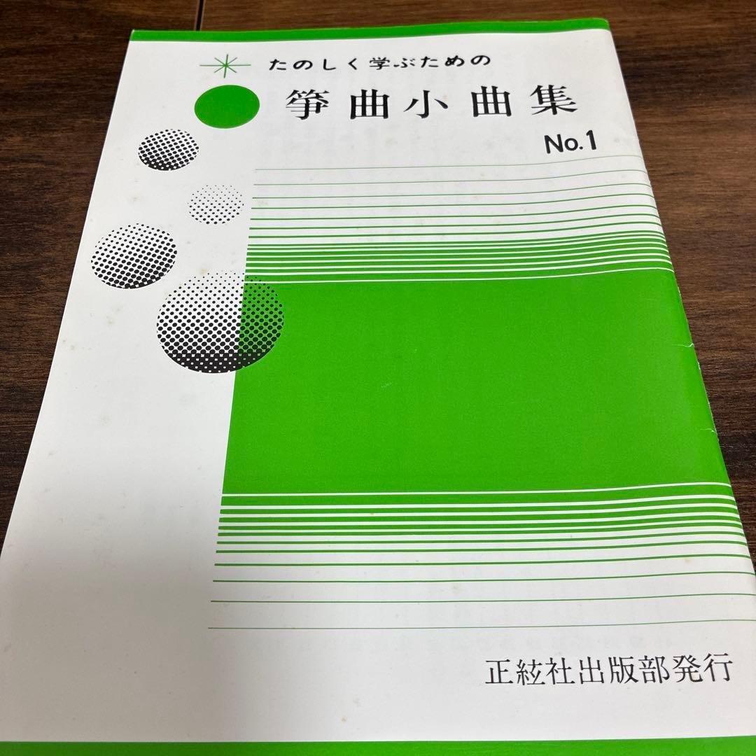 琴爪　樹脂製　初心者向け　装飾ケース付き