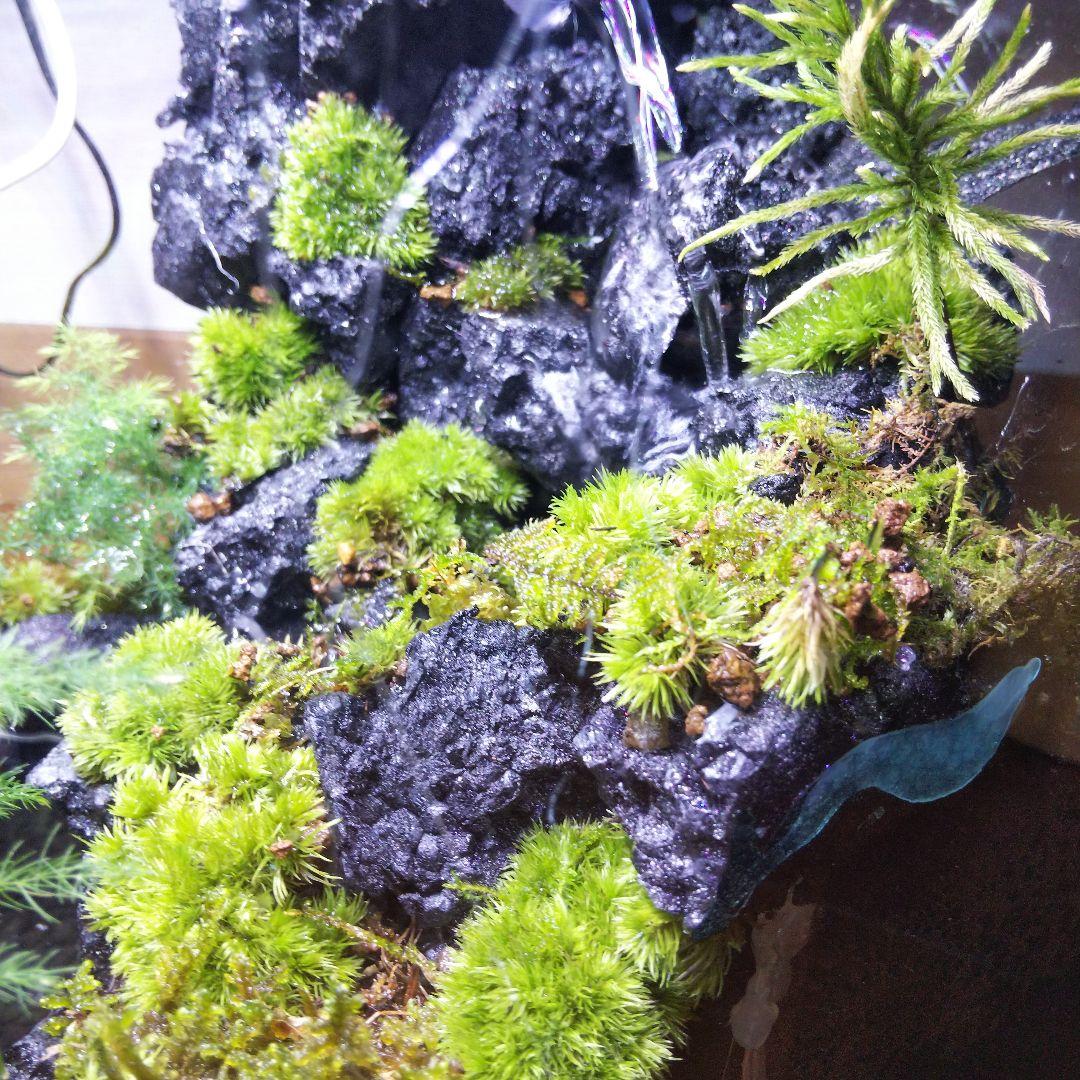 【オーダーメイド】滝のあるアクアテラリウム