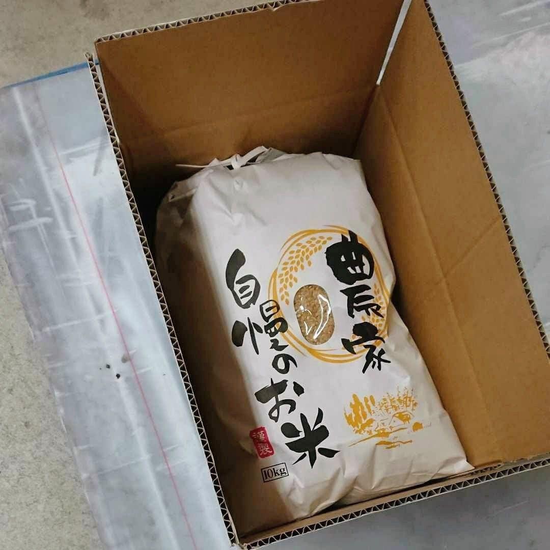 令和7年 新米！精米無料！玄米20キロ 栃木県大田原 黒羽産コシヒカリ 20㎏