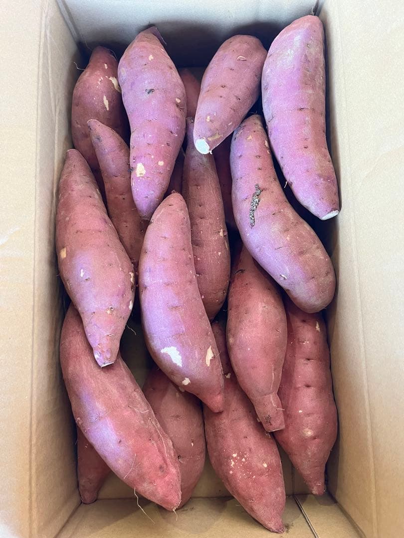 小さな小さな農家さん！大分県産　甘太くんA品Lサイズ　20キロ