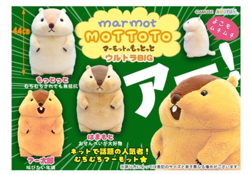 マーモットのもっとっと ウルトラBIGサイズ３点セット