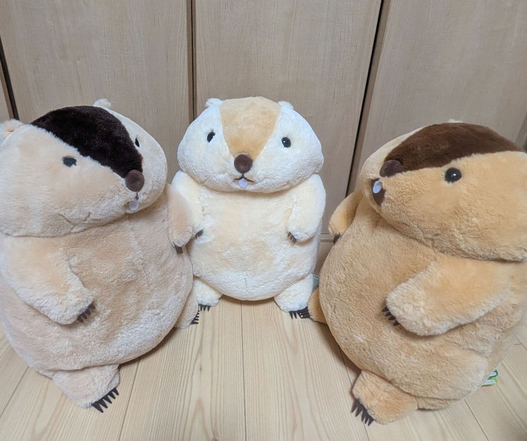 マーモットのもっとっと ウルトラBIGサイズ３点セット