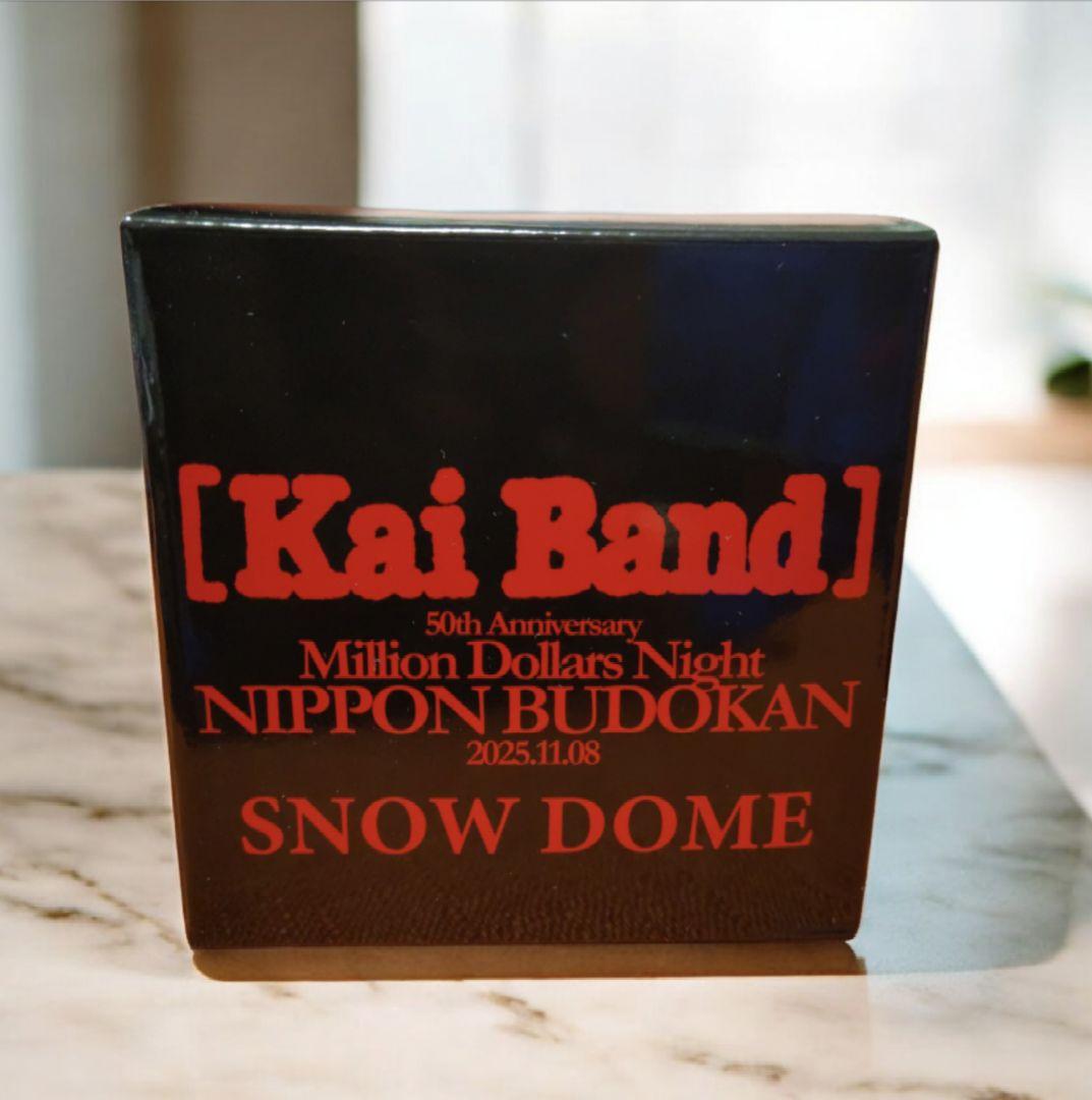 【限定・非売品】甲斐バンド 武道館 VIP特典 スノードーム