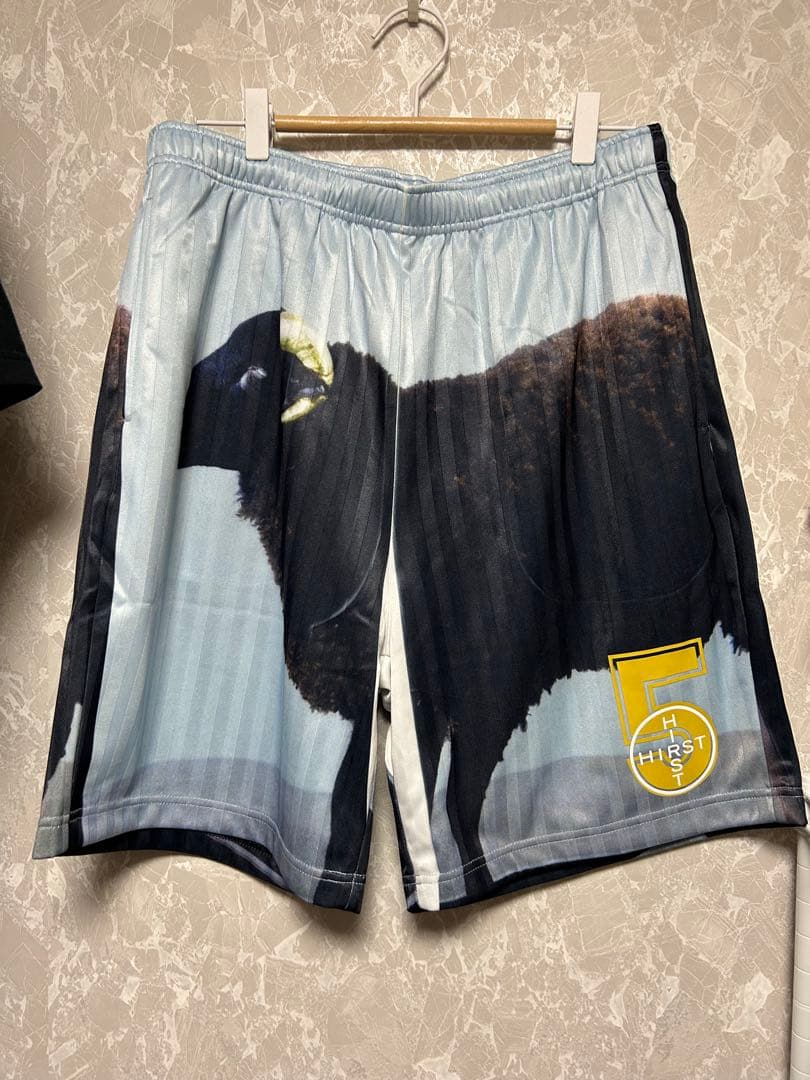 建*家様 Supreme Damien Hirst Soccer Short S