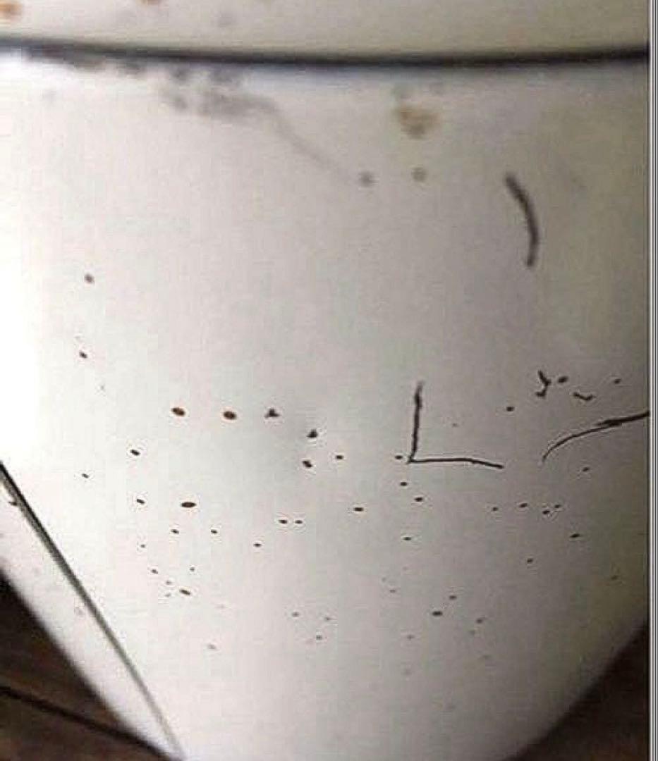 アメリカン雑貨 ランズバーグ ビンテージキャニスター