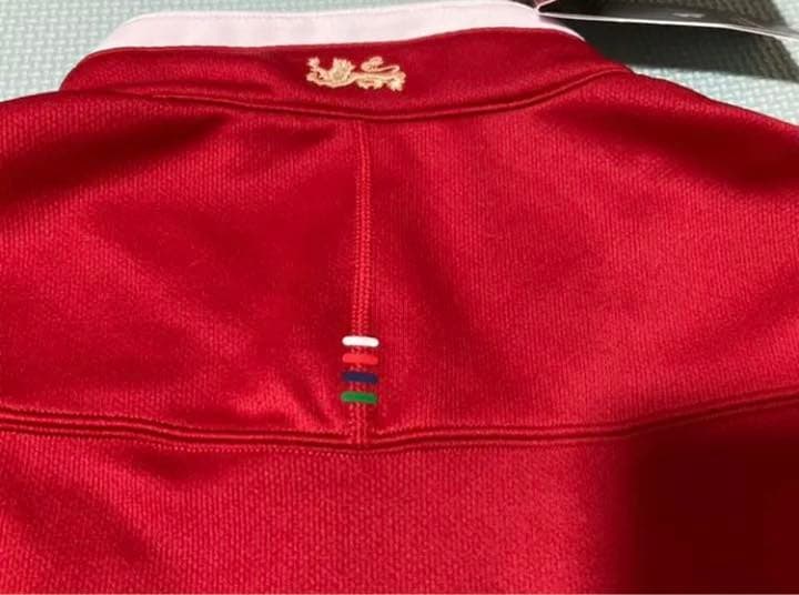 (未使用)(値引き)(NZツアー)ブリティッシュ　アイリッシュライオンズ2017