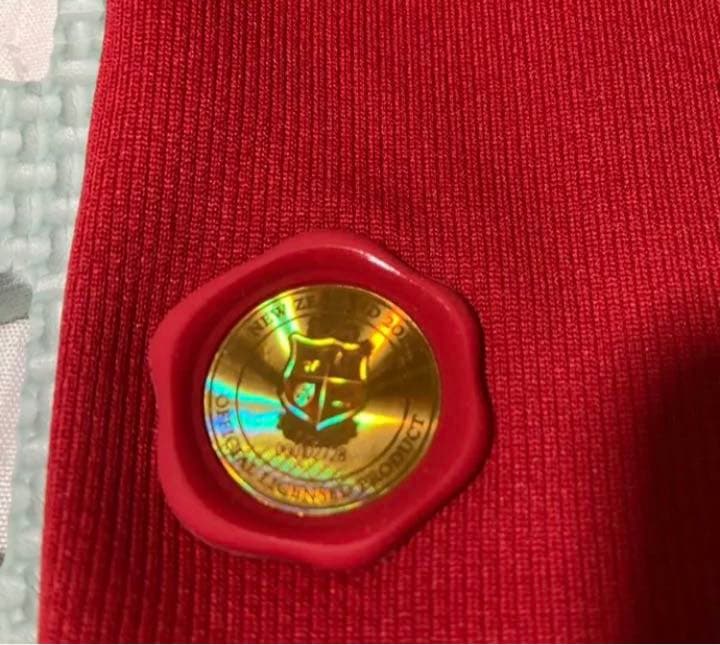 (未使用)(値引き)(NZツアー)ブリティッシュ　アイリッシュライオンズ2017