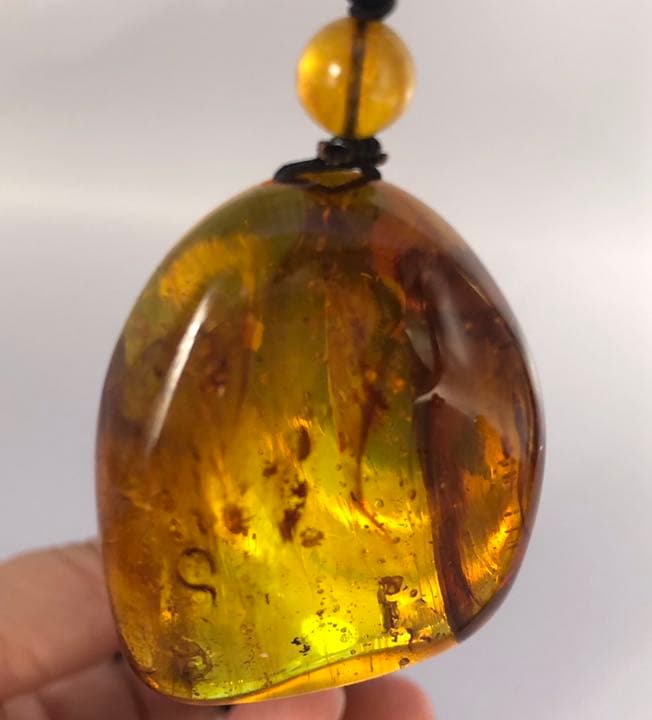 アンバー 琥珀 ユニーク 天然石 虫入り ネックレス 化石 宝石