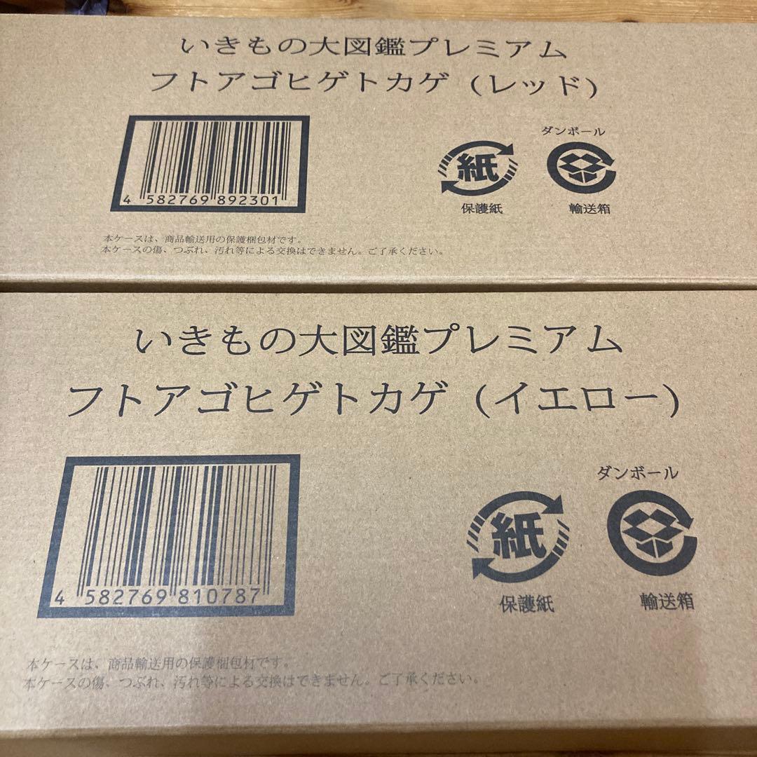 いきもの大図鑑プレミアム　フトアゴヒゲトカゲ　　レッド&イエローセット