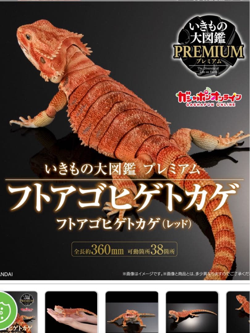 いきもの大図鑑プレミアム　フトアゴヒゲトカゲ　　レッド&イエローセット
