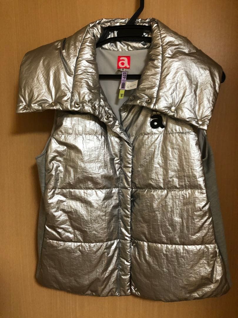 Archivio シルバー ダウンベスト 36