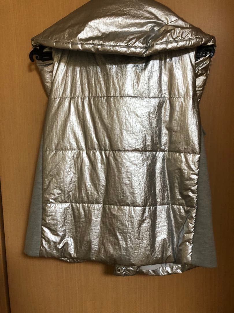 Archivio シルバー ダウンベスト 36