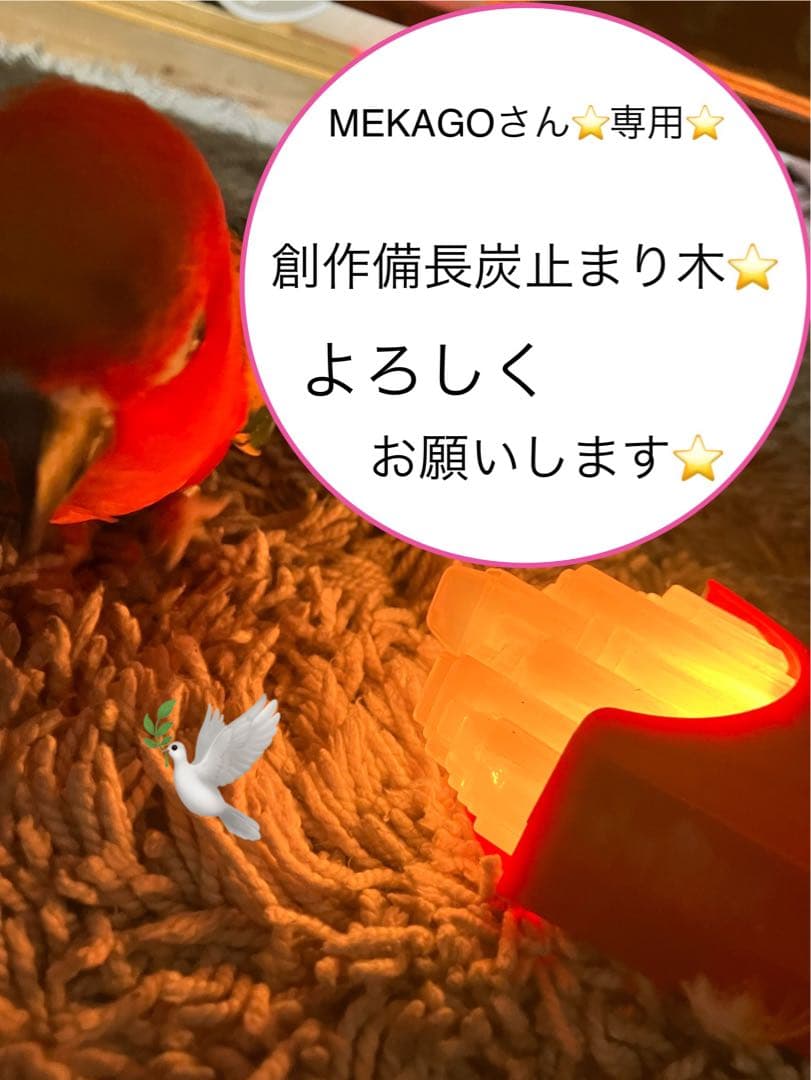 備長炭止まり木⭐️止まり木⭐️パーチ⭐️専用です♪(*^ω^*)✨